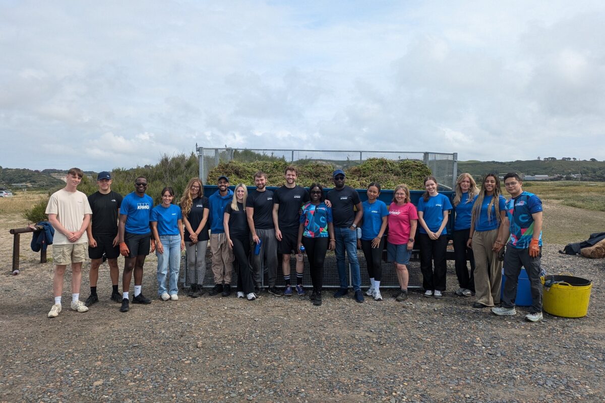 KPMG team at the Invasive Species Removal event