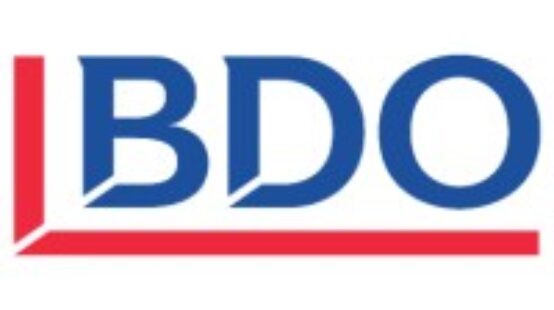 BDO – Essentials Of Workforce Planning